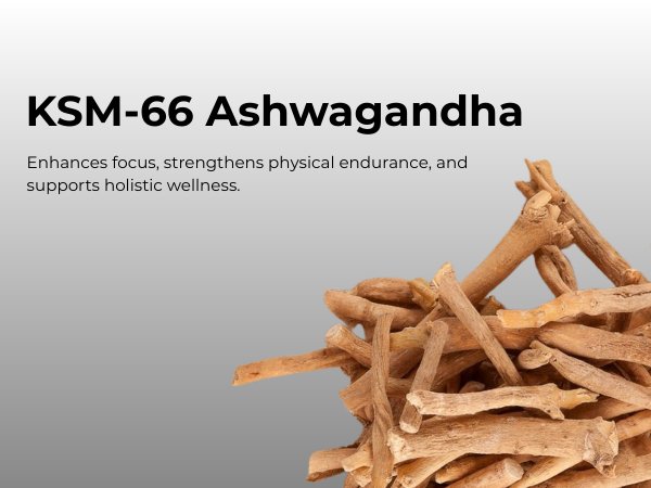 KSM-66® Ashwagandha