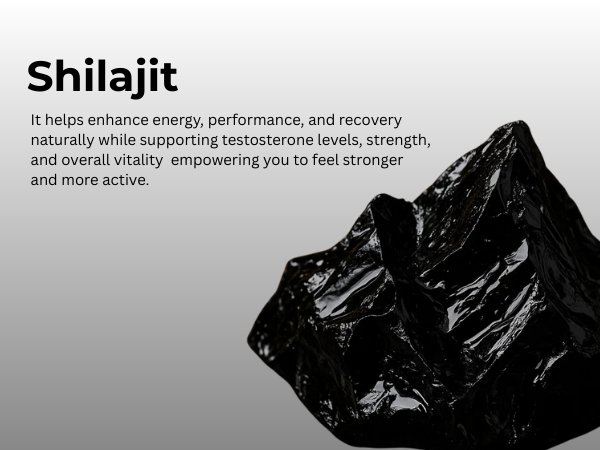 Himalayan Shilajit