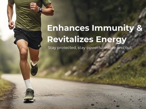 Enhances immunity and revitalizes energy