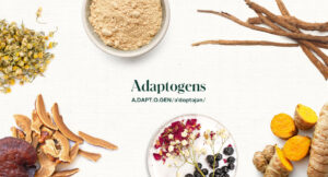 Healthy Aging with Adaptogens Explained: Science, Benefits, and Practical Guide