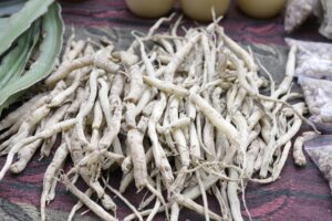 Safed Musli Benefits for Stamina and Energy: Science-Backed Guide for Men