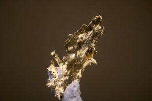 Swarna Bhasma vs Nano Gold: Which is Better for Skin? Complete Science-Backed Comparison