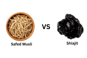 Safed Musli vs Shilajit for Stamina: Which Ayurvedic Ingredient Actually Works Better?